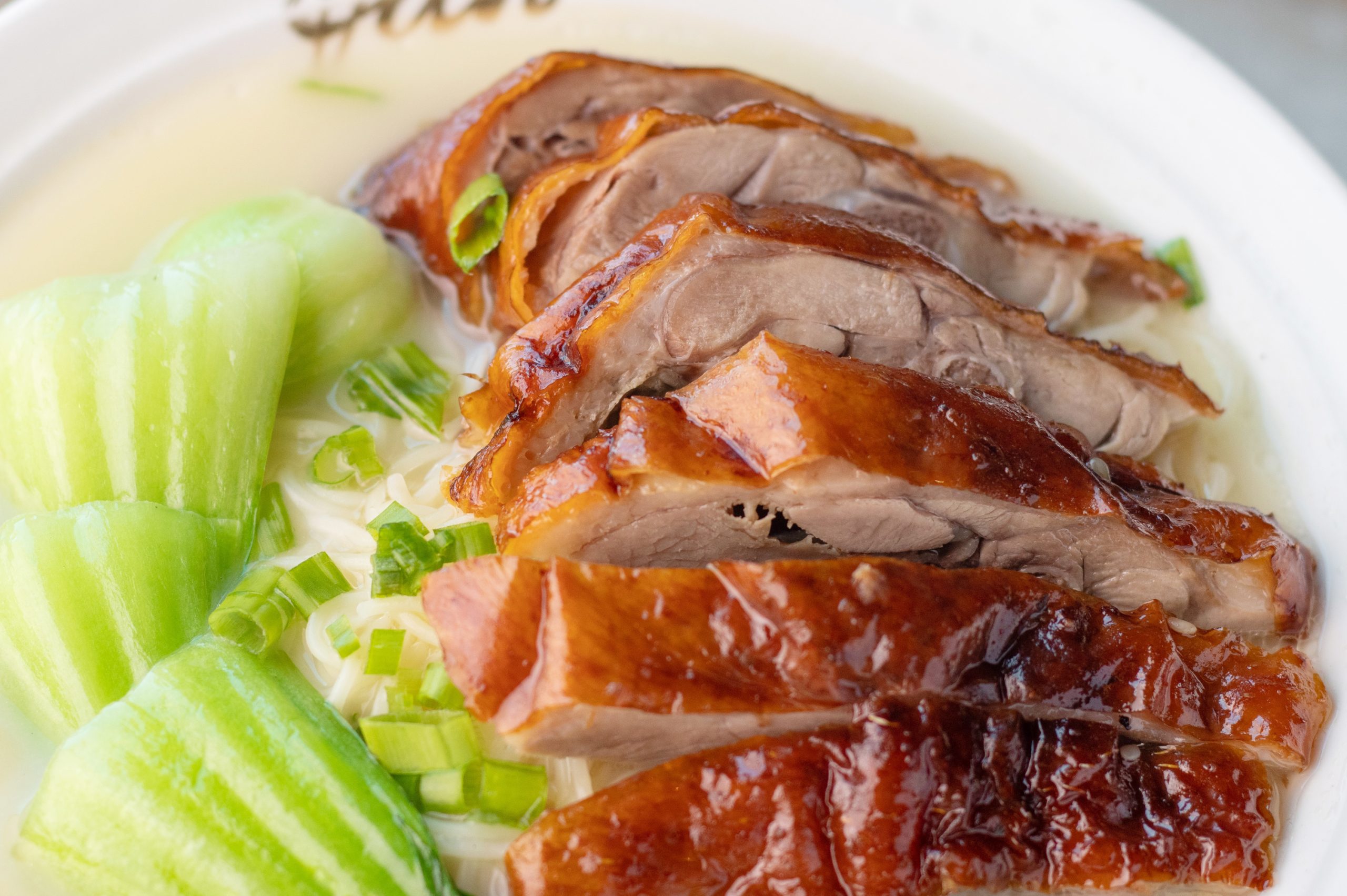 Roast Duck Noodles 烧鸭汤面